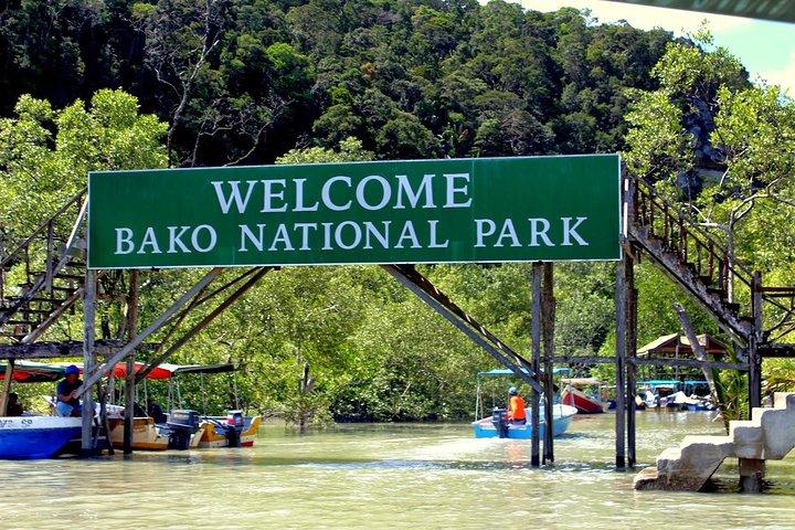 Sarawak Bako National Park Tour : Rainforest Flora & Fauna