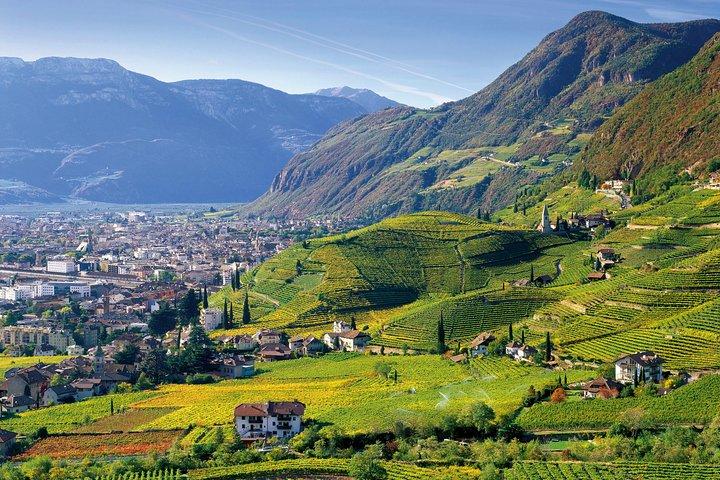 Private Tour The ultimate South Tyrol wine & food experience