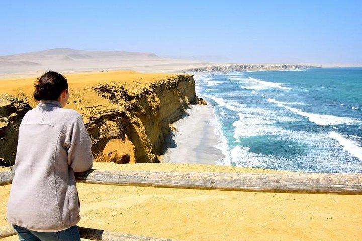 Ballestas Islands and Paracas National Reserve Day Trip from Paracas
