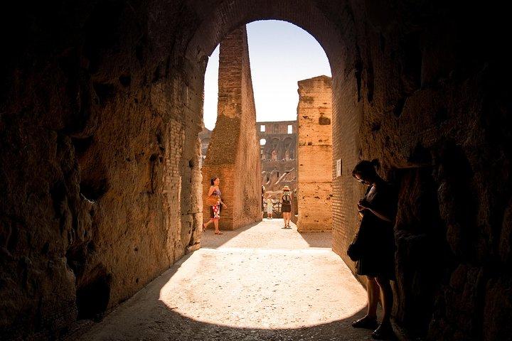 Colosseum Arena Floor, Roman Forum and Palatine Hill Guided Tour