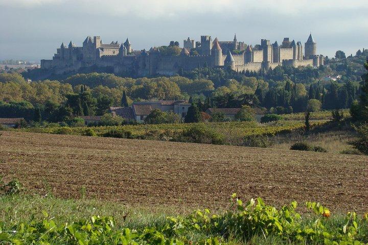 Carcassonne and Albi Private Sightseeing Tour from Toulouse