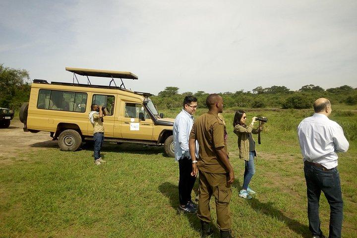 2 Days Akagera Wildlife Safaris 