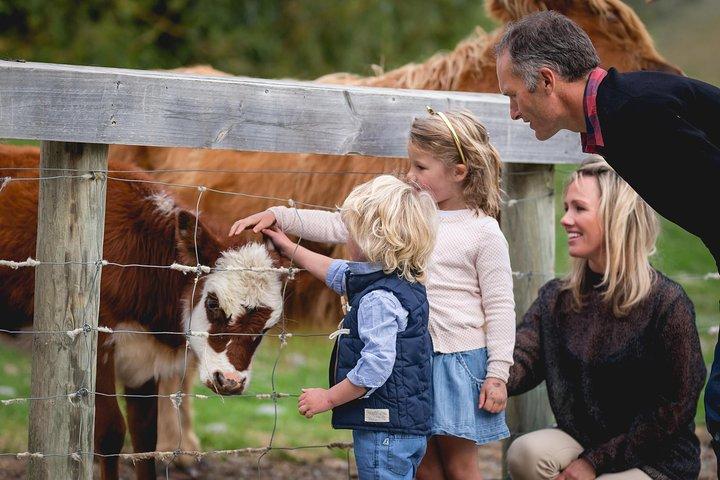 TSS Earnslaw & Walter Peak Farm Experience with Afternoon Tea