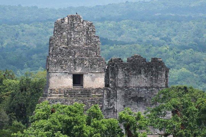 Tikal Mayan Adventure - 1 Day Tour