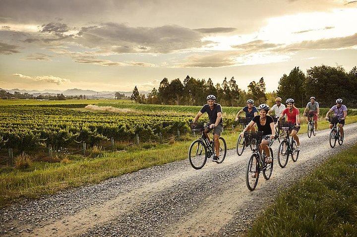 Self-Guided Biking Wine Tour (full day) in the Marlborough Region.