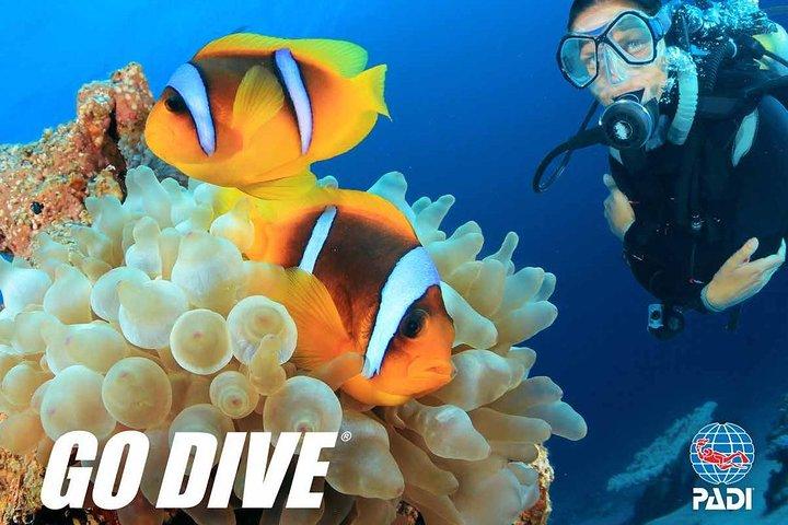 Exploration dives