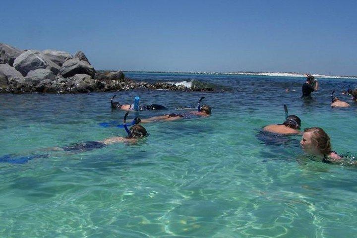 Snorkeling, Shelling & Eco Excursion