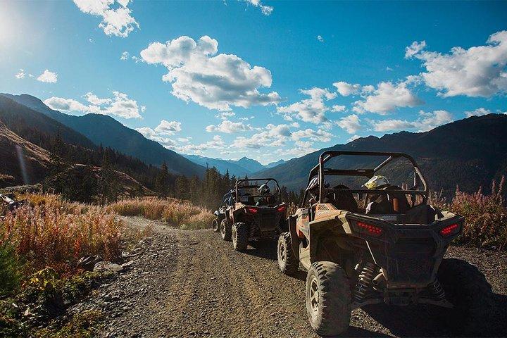 Side-by-Side Off-Roading Tours from Whistler