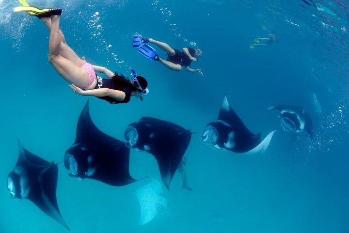 One Day Snorkeling Trip & West Tour Nusa Penida 