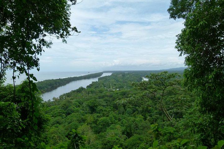 The best of Tortuguero: Canoe, hike and night tour (turtle in Jul-Oct)