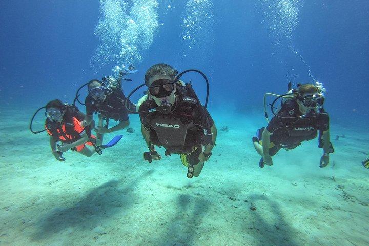 Full-Day Catalina Island Scuba Diving Tour from La Romana