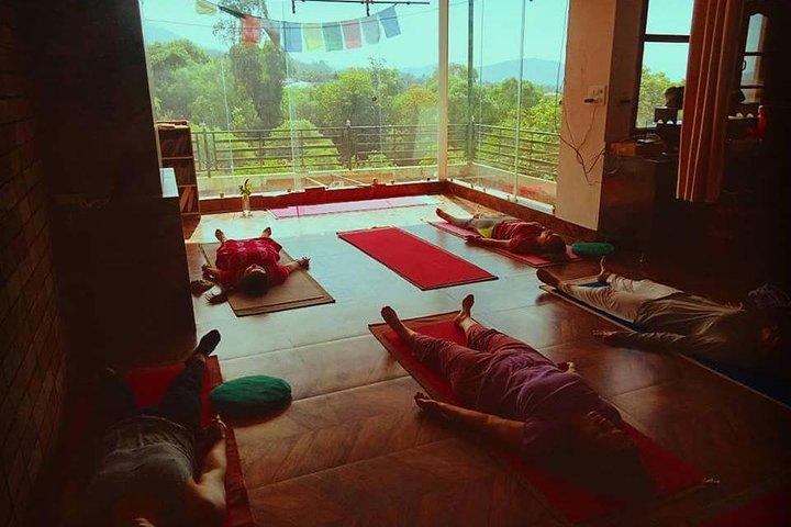28 Days 200-Hour Meditation and Yoga lifestyle TTC in Himalaya