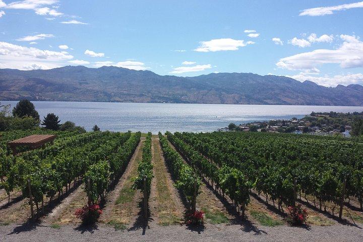 West Kelowna Gallery Of Grapes Wine Tour