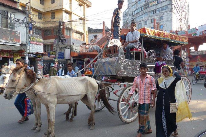 Dhaka Popular Walking and Communal Tour
