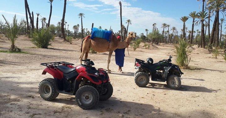 Palm Grove quad bike and camel ride tour