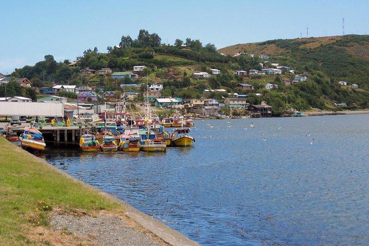 Puerto Varas; Full day, Chiloe island: Ancud, Caulin and Lacuy