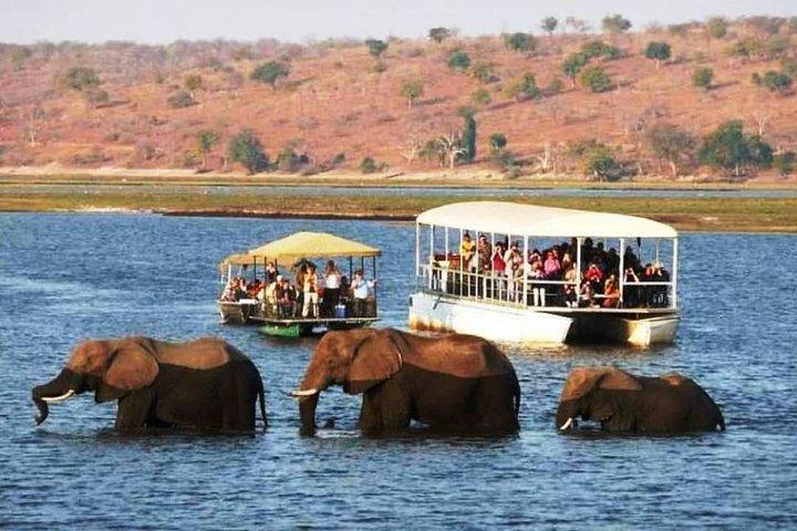 Chobe Safari Day Trip From Livingstone