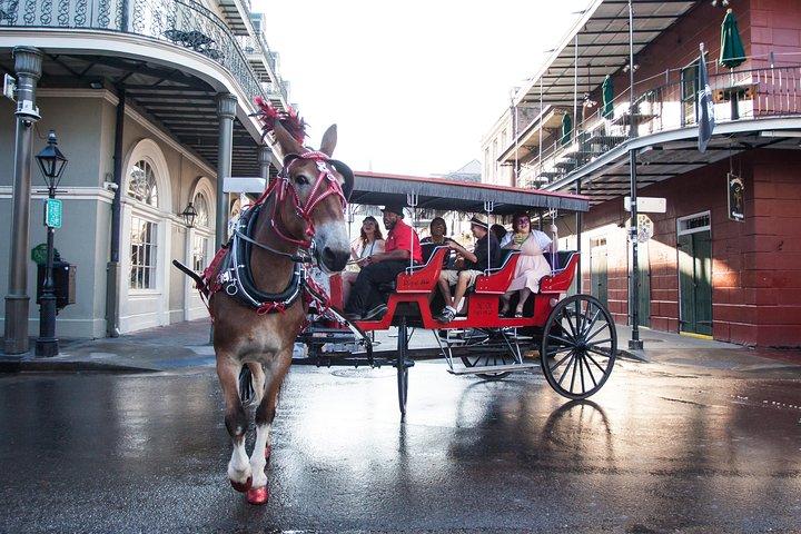 New Orleans French Quarter & Marigny Neighborhood Carriage Ride 