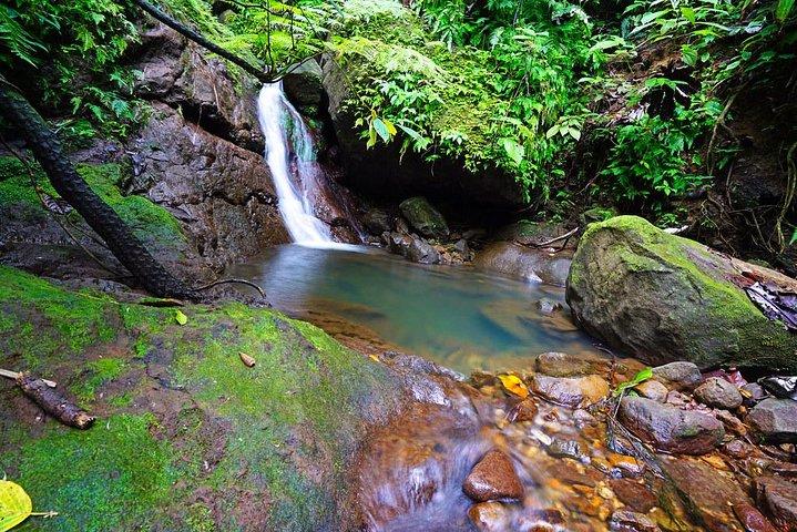 St. Kitts Half-Day Rainforest Tour