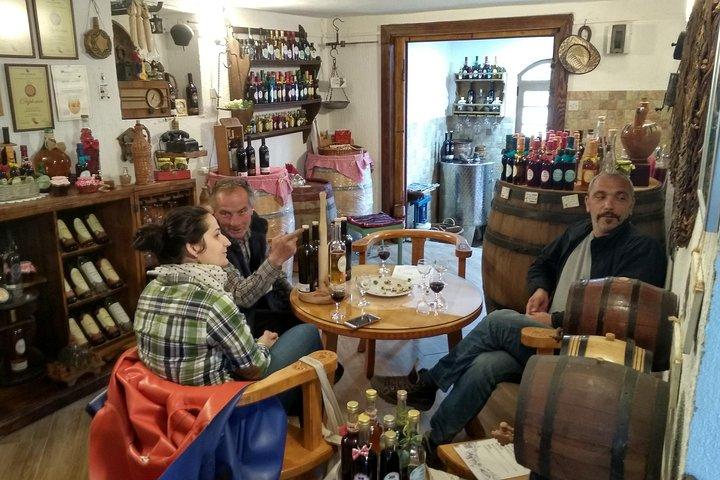 Wine tasting in the family winery, feel the spirit
