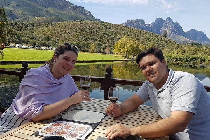 Private Wine Tour with Wine Expert to Stellenbosch-Franschhoek Wine Regions