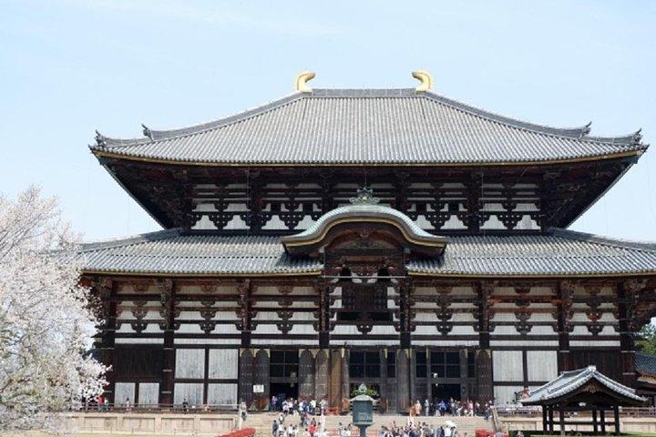 Nara Private Tour by Public Transportation from Kyoto