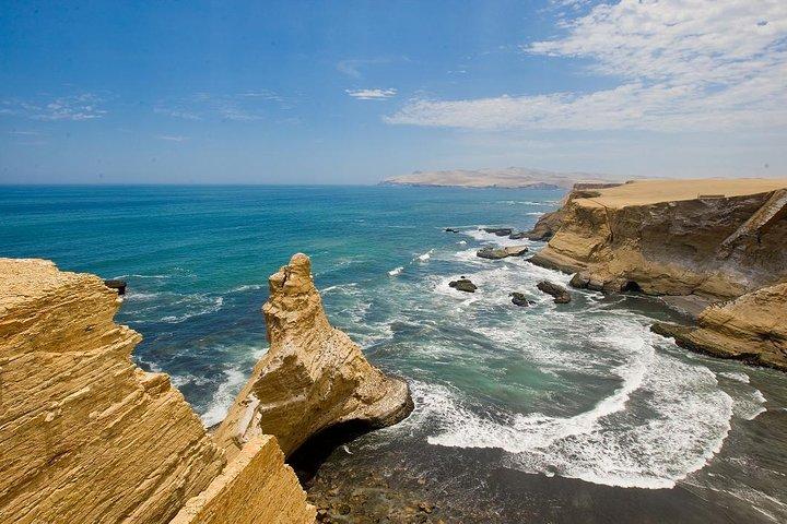 Paracas National Reserve Private Tour from Paracas or Pisco