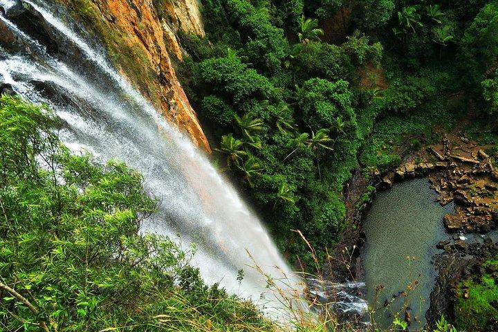 Rainforest & Waterfalls Experience