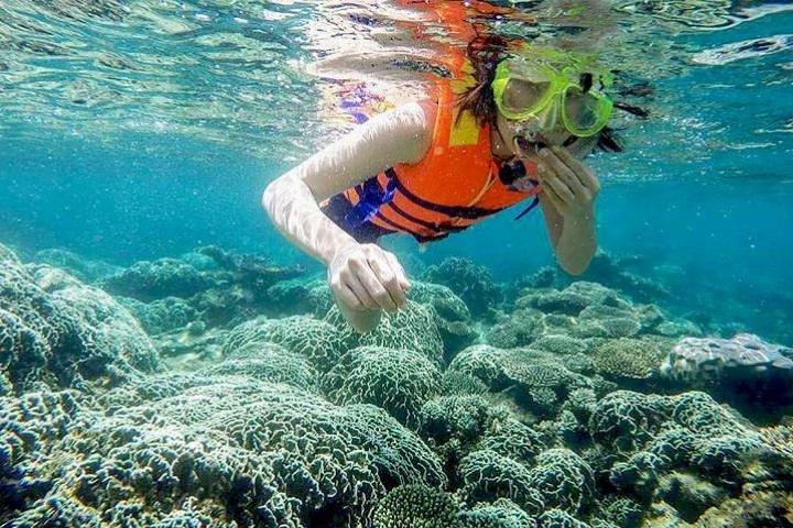 From Mui Ne To Vinh Hy Bay Snorkeling And Fishing Tour | Day Trip 