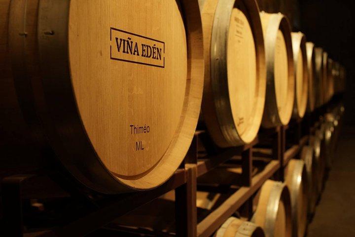 Guided Tour of the Winery Viña Edén