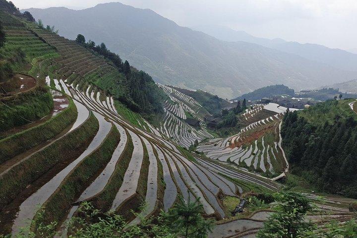 Longji Rice Terraces Day Tour from Xingping hotel