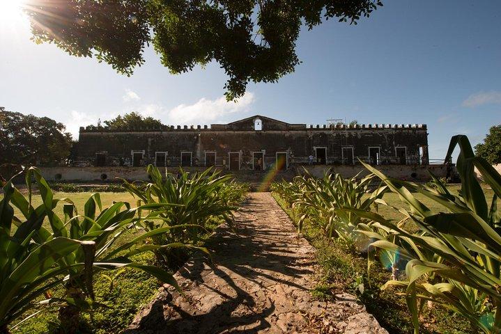 Yaxcopoil Hacienda & Uxmal Plus Cenote from Merida