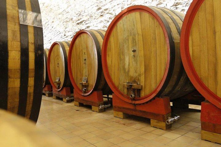 Wine tasting, Valpolicella cellar visit, Amarone and red wines region day tour