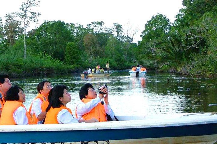 Klias River Safari Tour from Kota Kinabalu