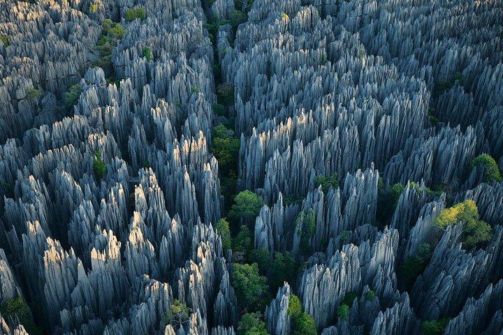 1 Day Stone Forest & Jiuxiang Cave Tour