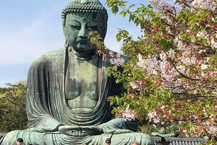 Historic Kamakura: Temples, Shrines and Street Food Private Walking Tour