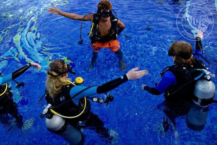 Scuba Diving for Non-Certified Divers at Catalina Islands & North Island - CR
