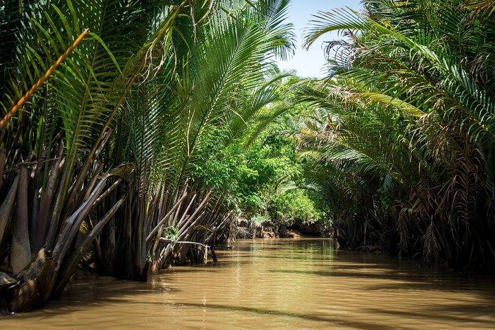 Full Day Small Group Tour to Discover Mekong Delta