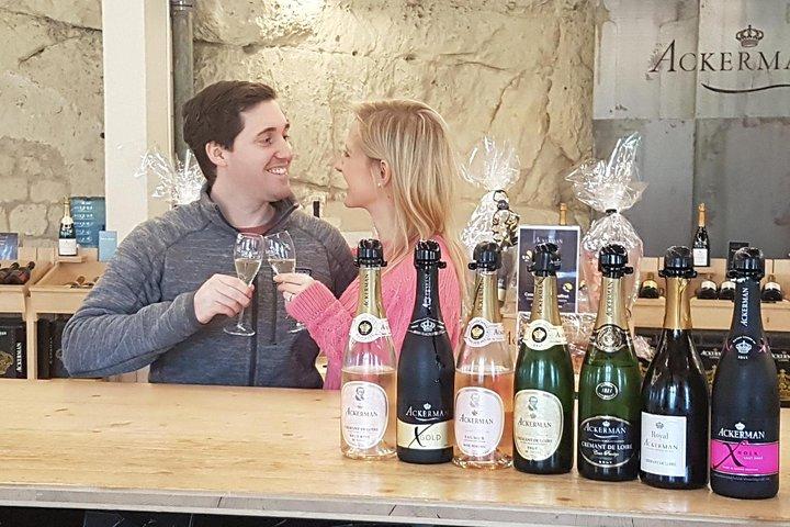 7-Hour Guided Wine Tour in Loire Valley