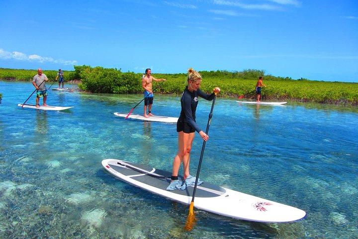 SUP Paddleboard Lesson and Tour - Port Canaveral & Cocoa Beach