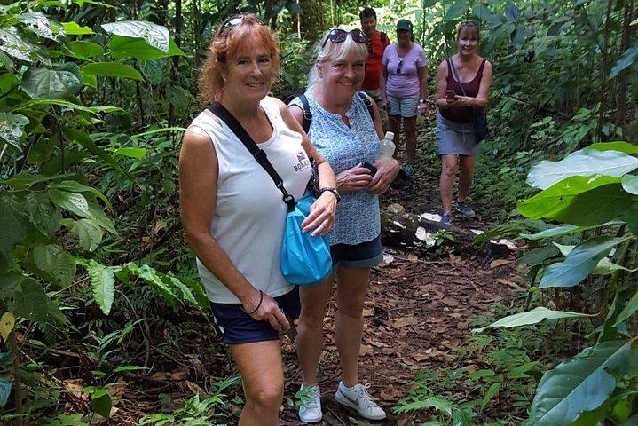 St Kitts Half-Day Rainforest Tour 