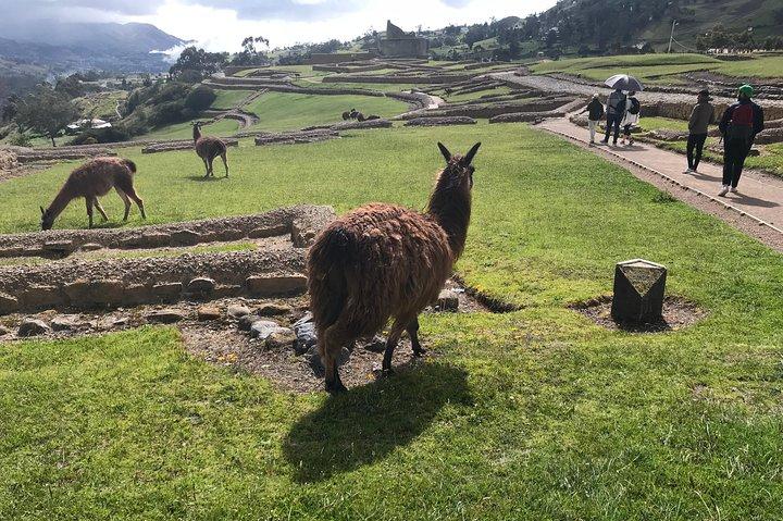 The Best of Ingapirca: an Adventure to the Ecuadorian Machu Picchu