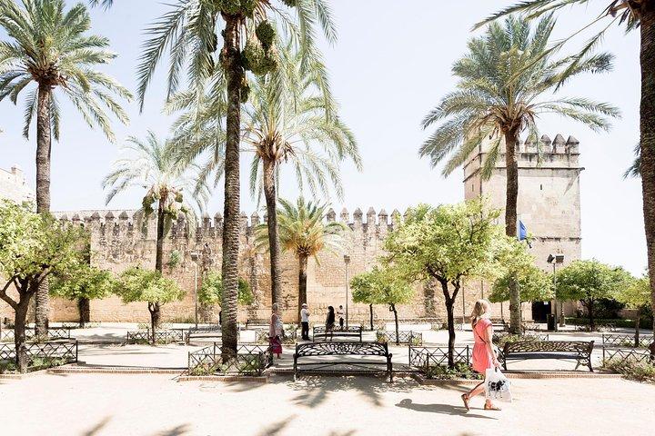 Cordoba Tour with Mosque, Synagogue and Patios Direct from Malaga