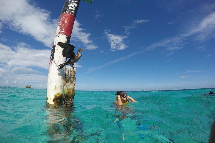 Snorkel and Parasail Cancun