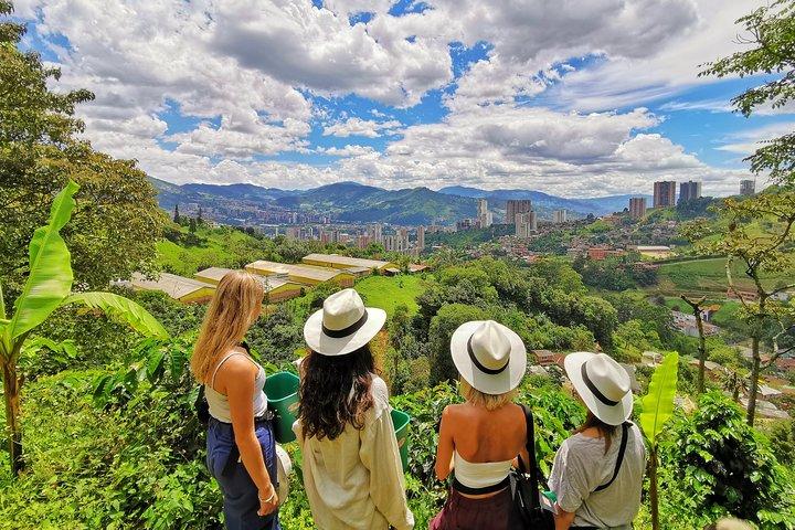 Half-Day Coffee Plantation Private Tour in Medellín, Colombia