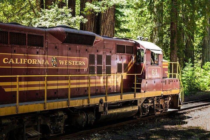 Skunk Train: Wolf Tree Turn from Willits