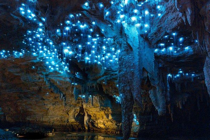 Tauranga - Waitomo : Ancient "Glow-Worm Caves" Shore Excursion