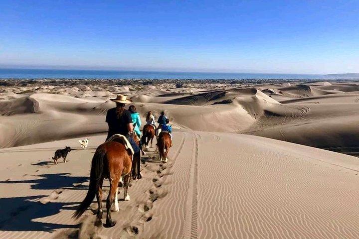 Private Shore Excursion From Valparaiso: Beach Horseback Ride & Viña del Mar