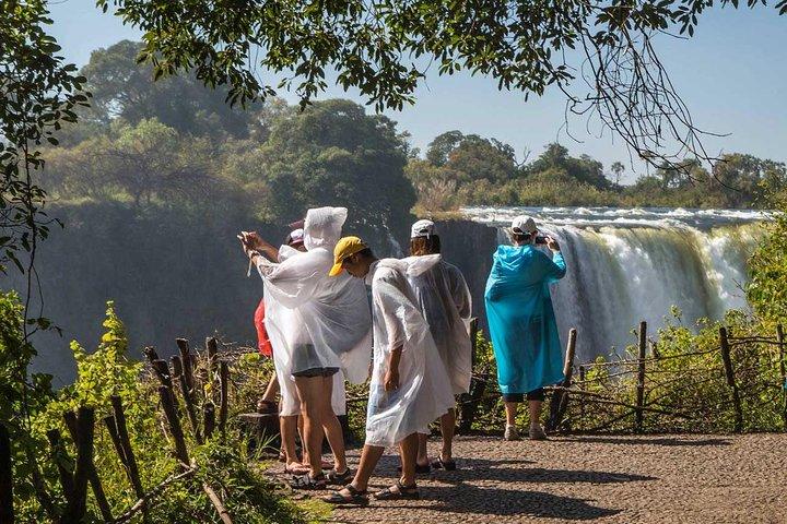 5-Day Victoria Falls and Chobe Tour from Victoria Falls