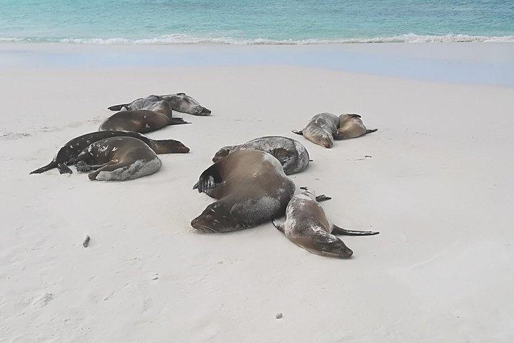 6-Day Galapagos Hotel-Based Tour: Snorkel,Hike,Wildlife in Isabela & Santa Cruz